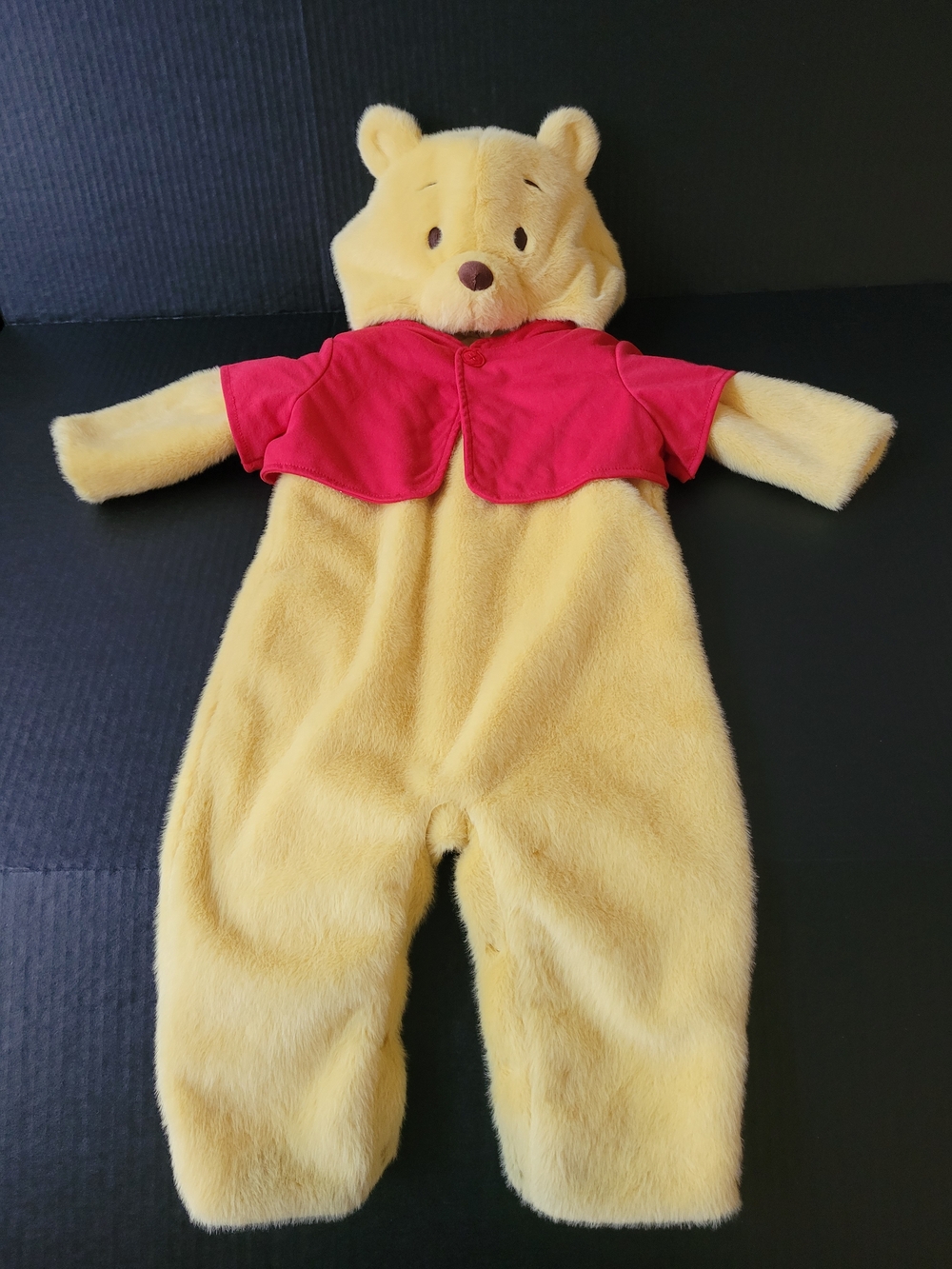 Pottery Barn Kids Classic Winnie The Pooh Costume 12-24 Months